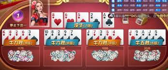 开云·体育（官网）APP下载-KAIYUN SPORTS